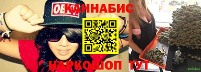 apvp Ярославль