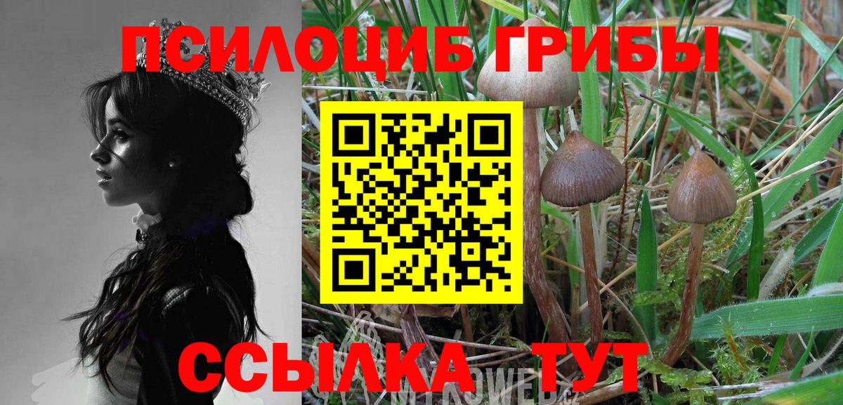Комсомольск-на-Амуре  Галлюциногенные грибы Psilocybine cubensis  Вход с VPN  Галлюциногенные грибы прущие грибы 