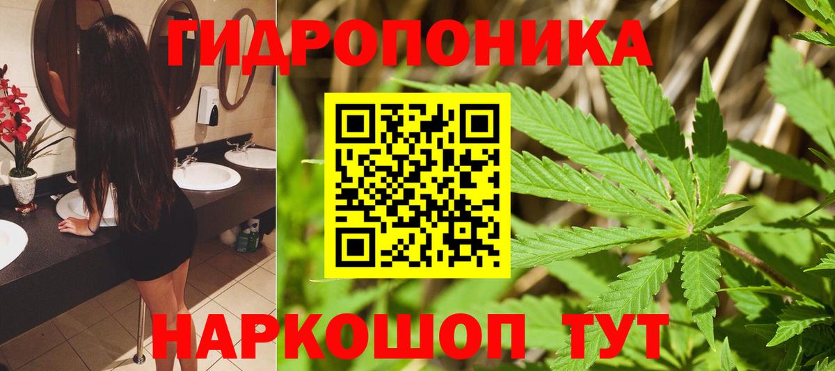 Бошки Шишки сатива Комсомольск-на-Амуре